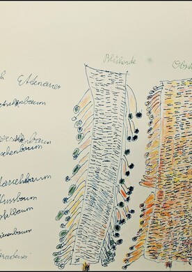Ein grafisches Kunstwerk von Friedrich Ettenauer auf hellem Papier, das Zeichnung und Text kombiniert. Zwei hohe, vertikale Formen, die an stilisierte Baumstämme erinnern, stehen im Zentrum. Sie sind mit feinen, waagerechten Linien gefüllt und mit bunten Punkten in Blau, Grün, Gelb und Rot verziert. Links daneben steht eine handschriftliche Liste von Obstbäumen, wie Kirschenbaum und Apfelbaum. Auf der rechten Seite befinden sich akkurate Spalten mit langen Zahlenreihen und Datumsangaben aus dem Jahr 2025.